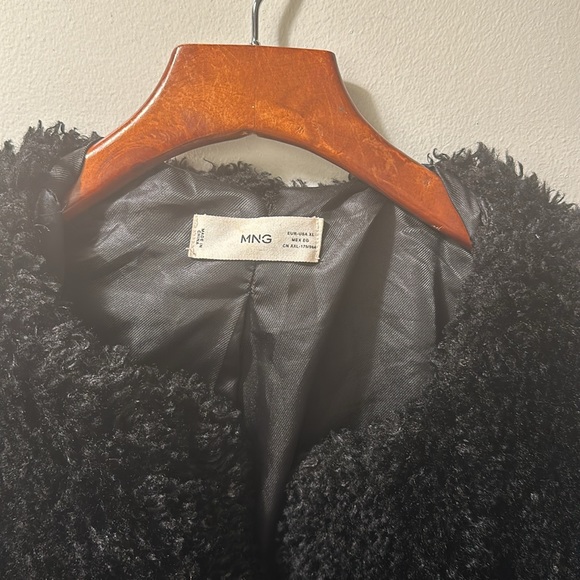 Mango Teddy - Picture 5 of 5